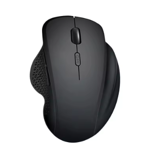 Rechargeable Wireless Dual Mouse