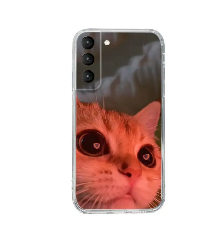 Cat Meme Phone Case for Samsung Galaxy S8/S9 Note Plus