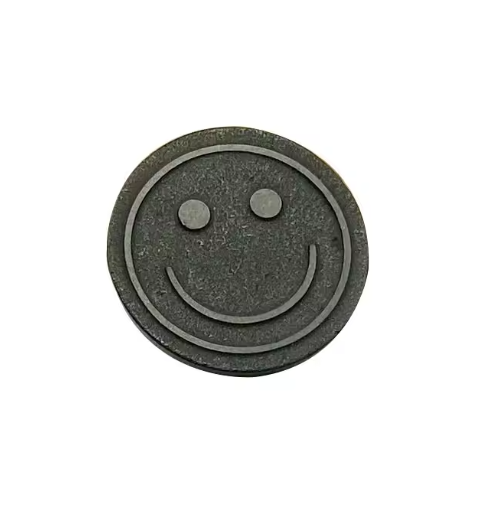 Natural Quantum Shield Shungite Gem