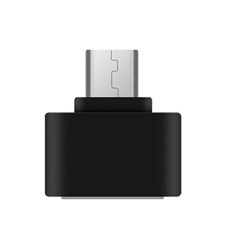 Micro Mini USB to USB Converter