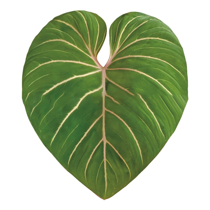 Plant Pop Socket Grip for Mobile Phone