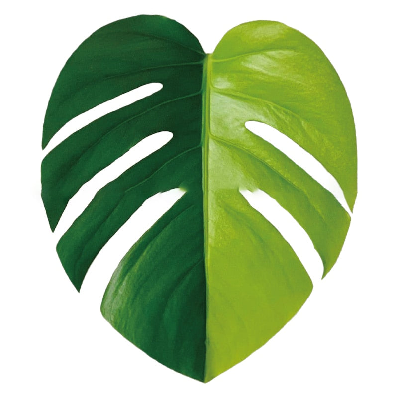 Plant Pop Socket Grip for Mobile Phone